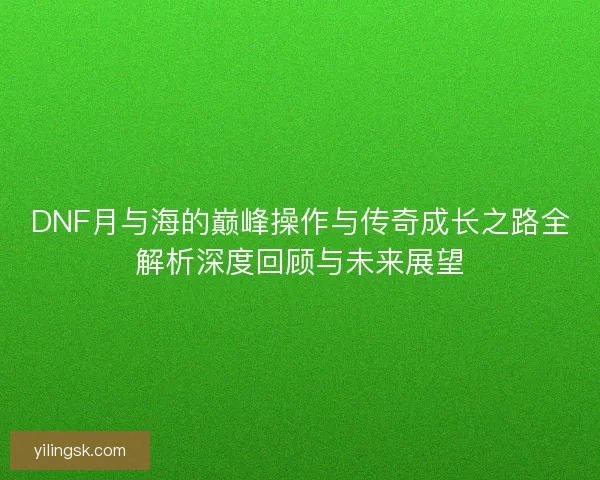 DNF月与海的巅峰操作与传奇成长之路全解析深度回顾与未来展望